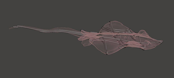 3D Design for Steel StingRay