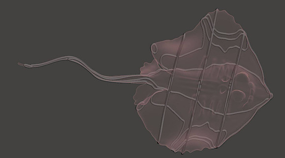 3D Design for Steel StingRay